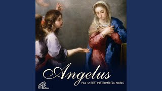 Angelus Prayer [upl. by Oicnedif360]