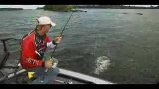 Mimic Minnow Fishing Tips from Krugerfarmscom [upl. by New]