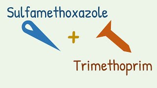 Sulfamethoxazole  Trimethoprim  Cotrimoxazole [upl. by Annairt424]