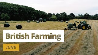 British Farming  12 Months On A UK Farm June [upl. by Aliuqahs179]