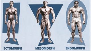 Ectomorph Endomorph Mesomorph How To Train amp Eat For YOUR Body Type [upl. by Nodnar384]