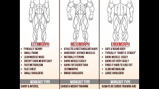 Ectomorph Body Type Fitness Program How To Get Big When You Are Skinny Ectomorph Fitness [upl. by Darce]