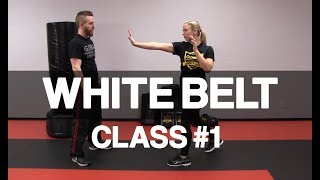 Introduction to Krav Maga  White Belt Class 1 Stance amp Palm Strike [upl. by Patnode]