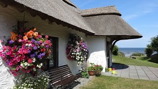 Most Beautiful Country Cottages  Beautiful Small House Design Ideas [upl. by Nnylrefinnej275]