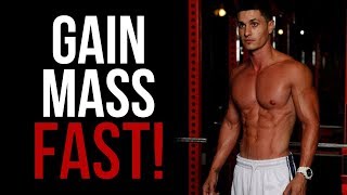 MassBuilding Ectomorph Workout Routine for Men Gain Muscle Fast [upl. by Chrisy]