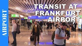 TRANSIT WALK AT FRANKFURT Airport FRA Terminal 1  Connection Flight Transfer Arriving amp Departing [upl. by Mackey853]